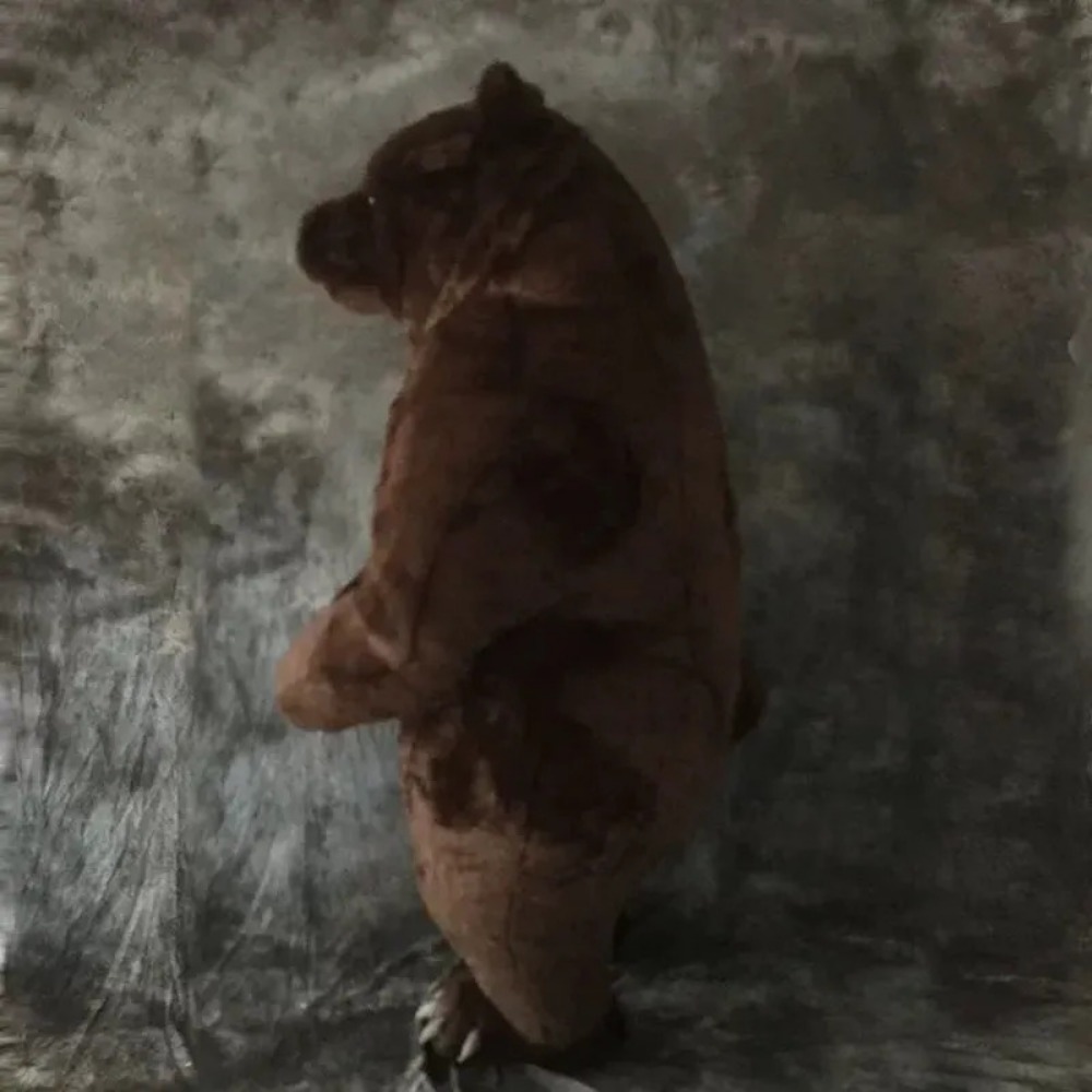 زي دب بني قابل للنفخ، مناسب لل - مراجعة Costumes وسعره